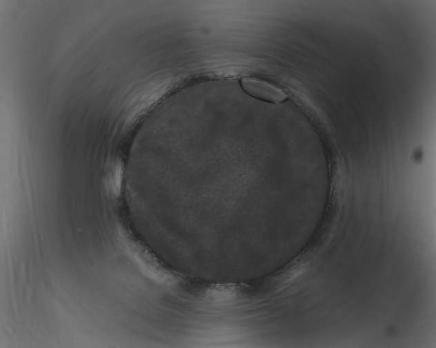 X0000116560076200912311941