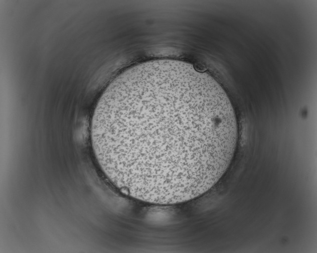 X0000116560077200912311941
