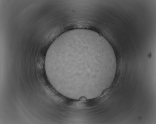 X0000116560078200912311941