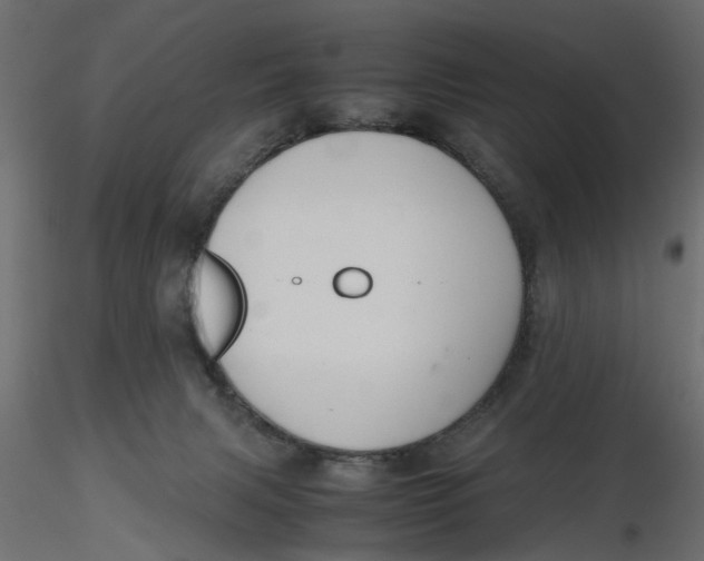 X0000116560079200912311941