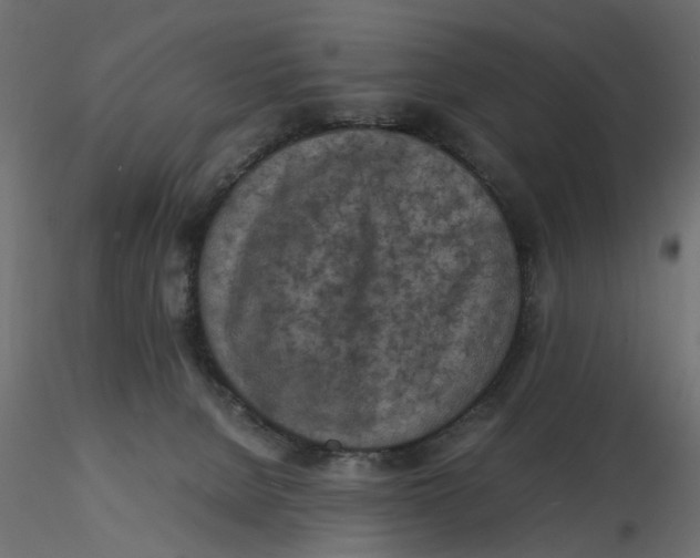 X0000116560080200912311941