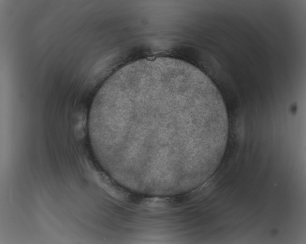 X0000116560082200912311941