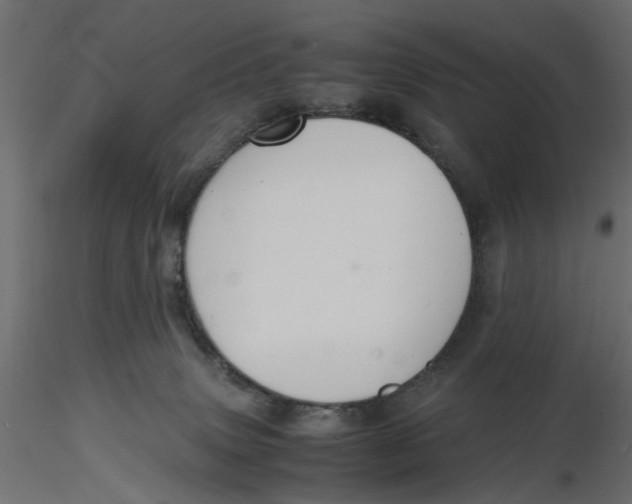 X0000116560083200912311941