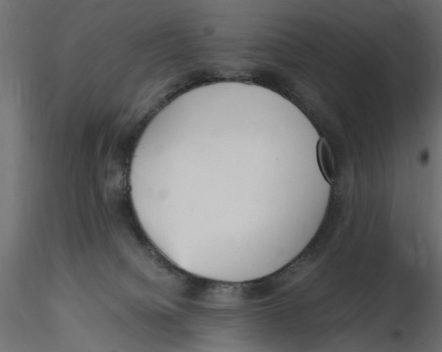 X0000116560084200912311941