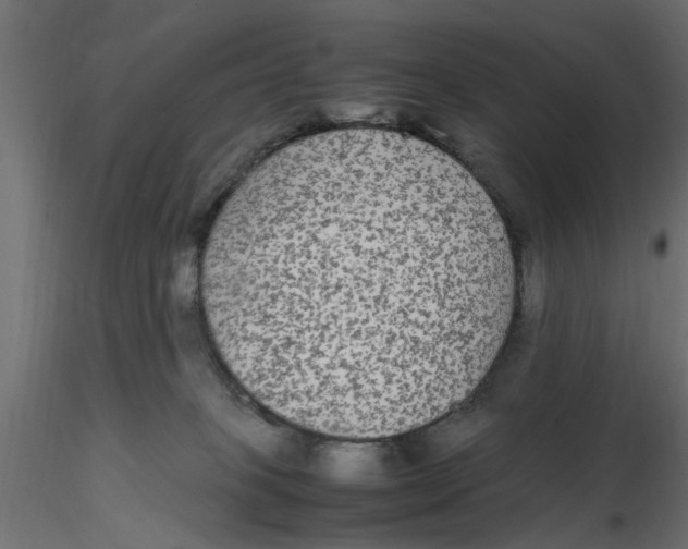 X0000116560085200912311941