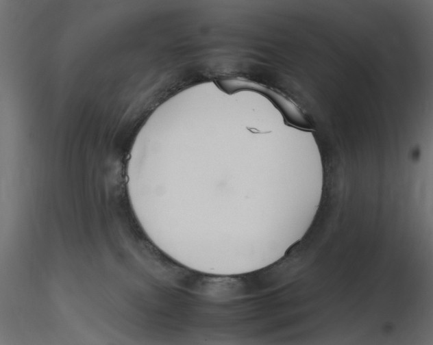 X0000116560087200912311941