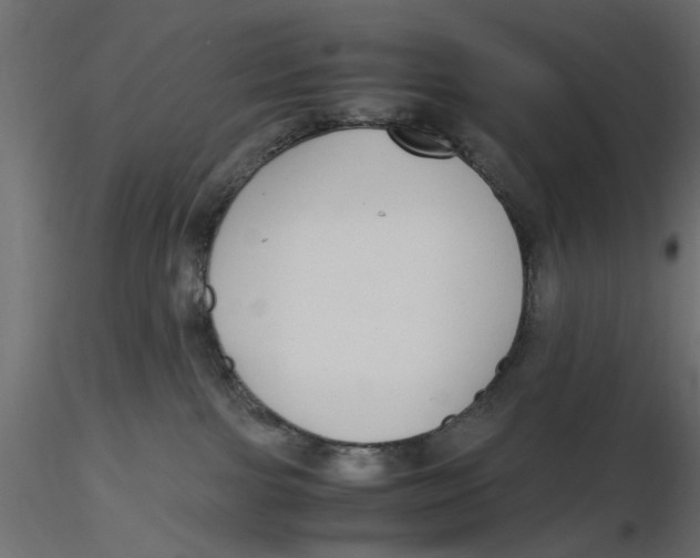 X0000116560091200912311941