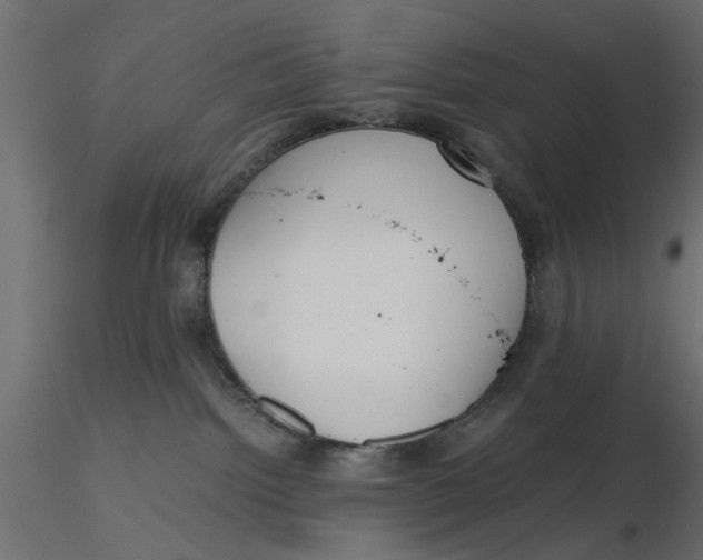 X0000116560092200912311941