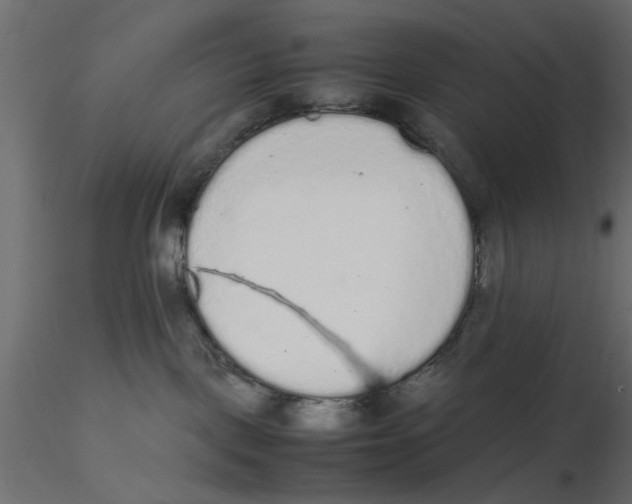 X0000116560093200912311941