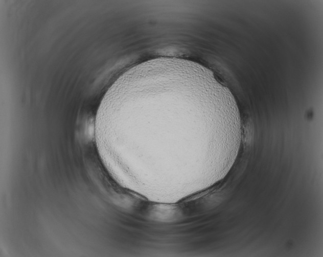 X0000116560095200912311941