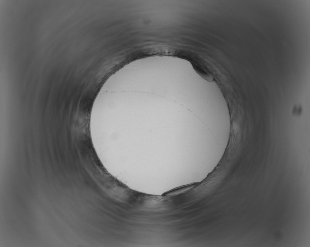 X0000116560096200912311941