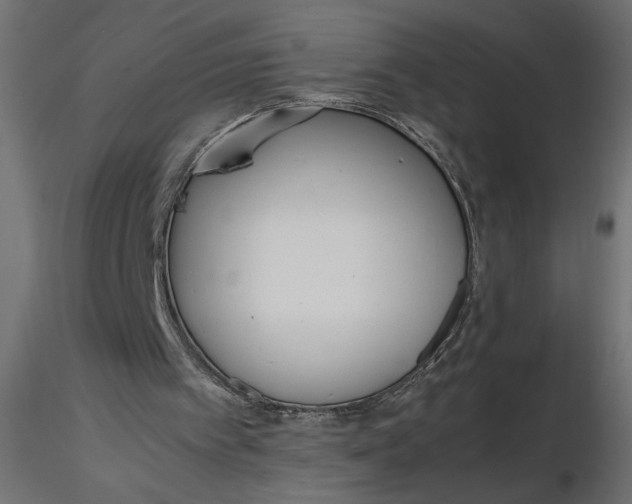 X0000116560097200912311941
