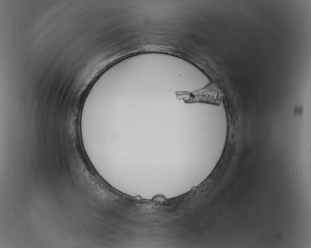 X0000116560098200912311941