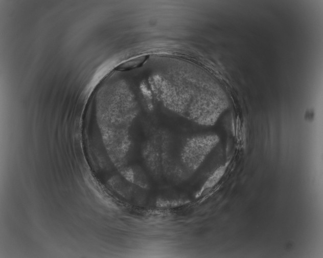 X0000116560099200912311941