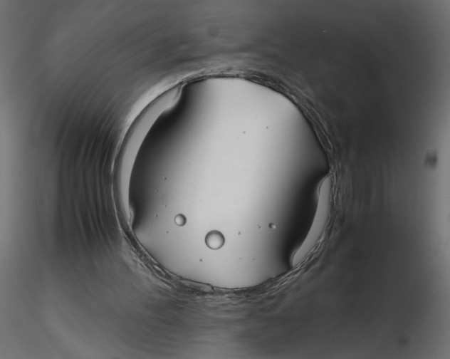 X0000116560100200912311941