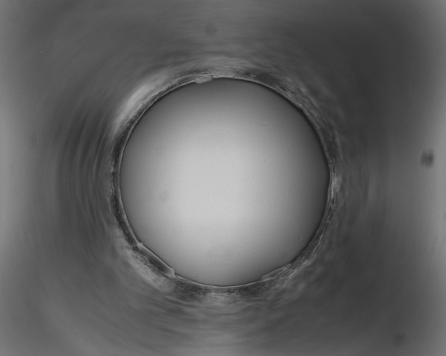 X0000116560101200912311941