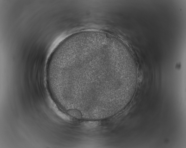 X0000116560102200912311941