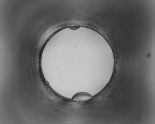 X0000116560103200912311941