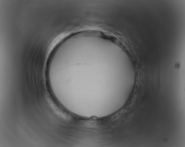 X0000116560104200912311941