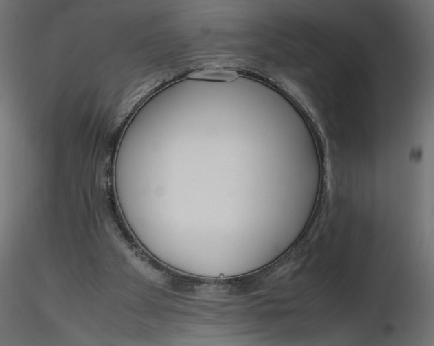 X0000116560105200912311941