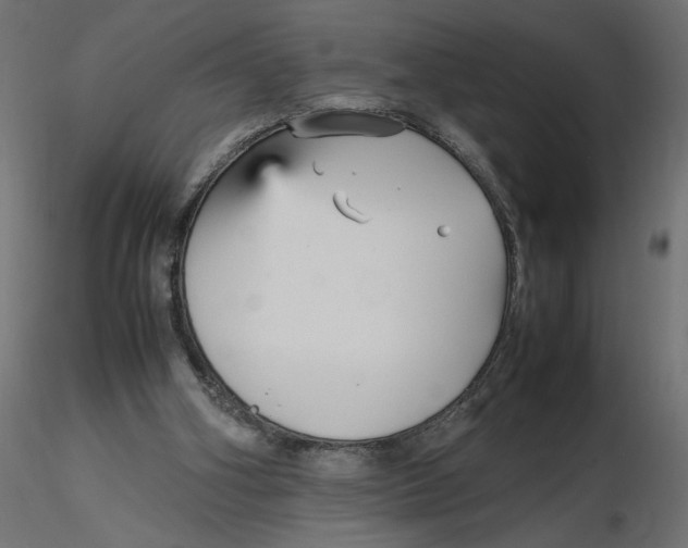 X0000116560106200912311941
