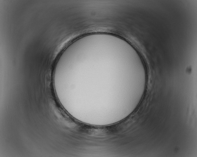 X0000116560107200912311941