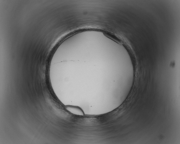 X0000116560108200912311941