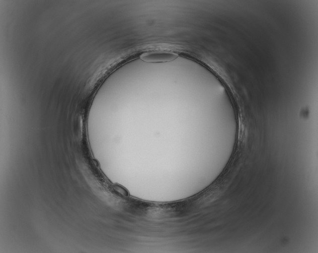X0000116560109200912311941
