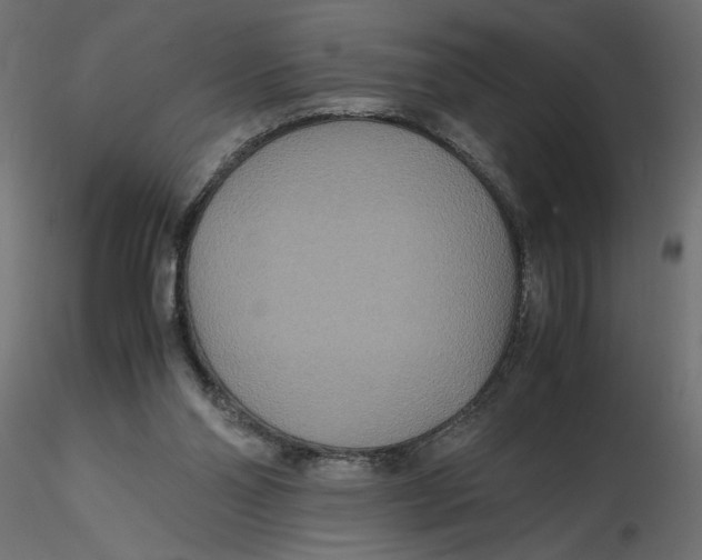 X0000116560110200912311941