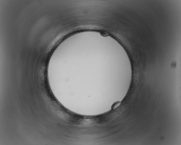 X0000116560111200912311941