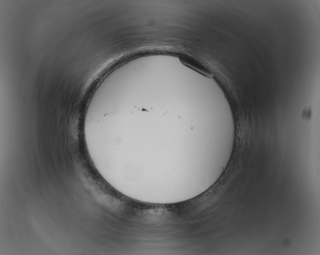 X0000116560112200912311941