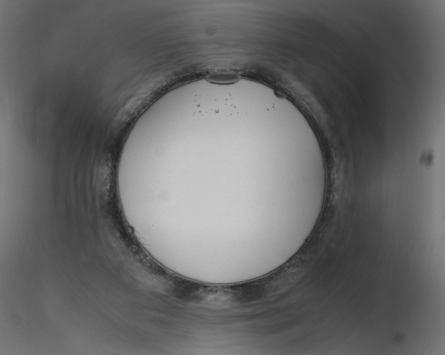 X0000116560113200912311941