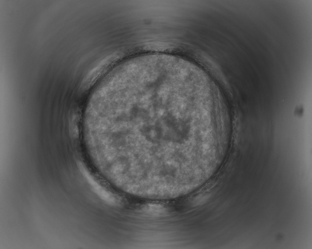 X0000116560114200912311941