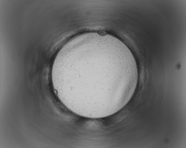 X0000116560115200912311941