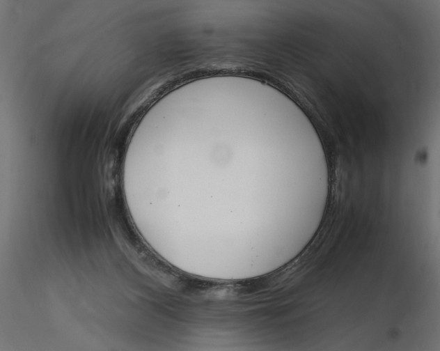 X0000116560116200912311941