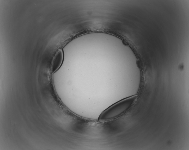 X0000116560117200912311941