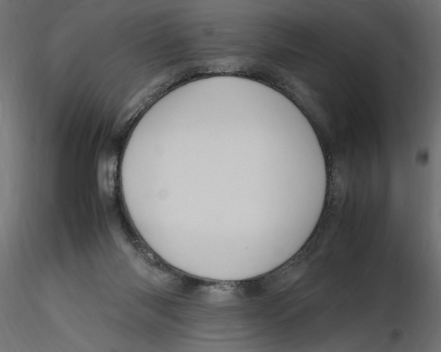 X0000116560118200912311940