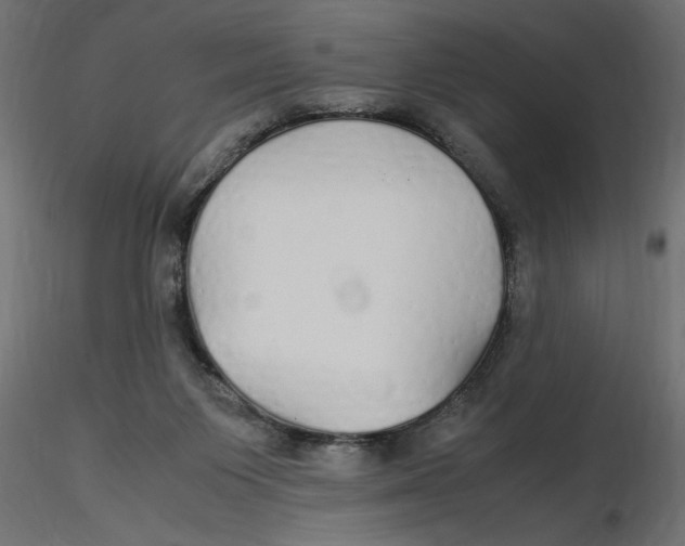 X0000116560119200912311940