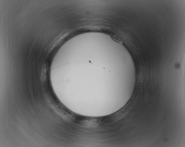 X0000116560120200912311940