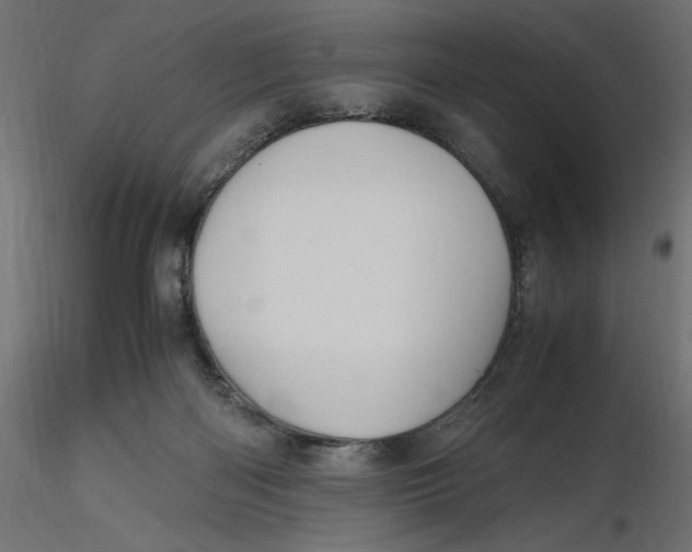 X0000116560122200912311940