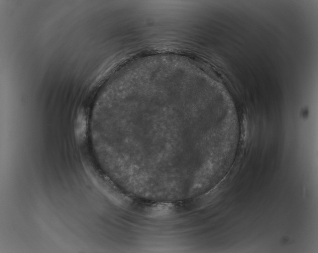 X0000116560124200912311940