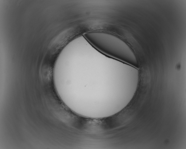 X0000116560125200912311940