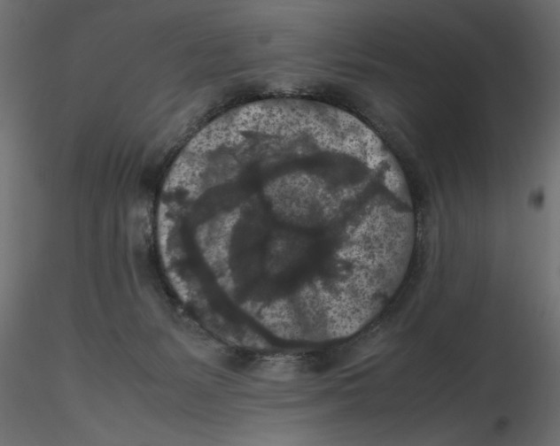 X0000116560127200912311940