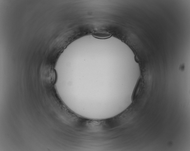 X0000116560129200912311940