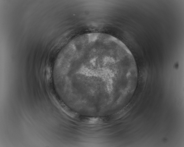 X0000116560130200912311940