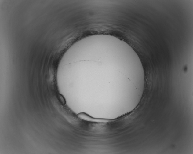 X0000116560132200912311940