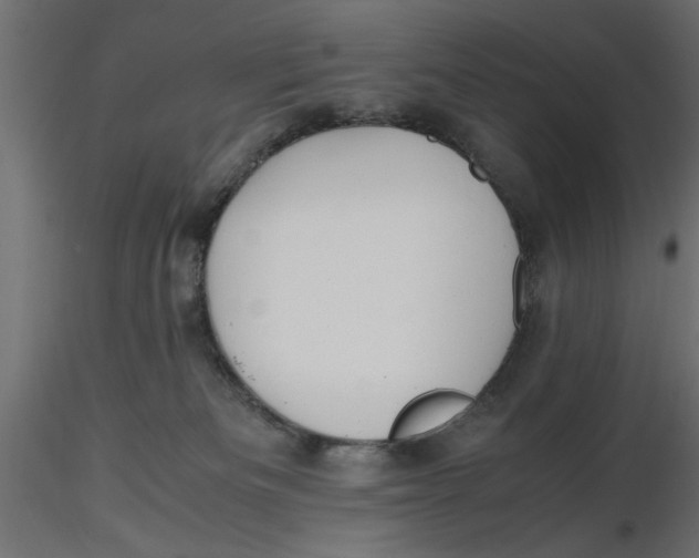 X0000116560133200912311940