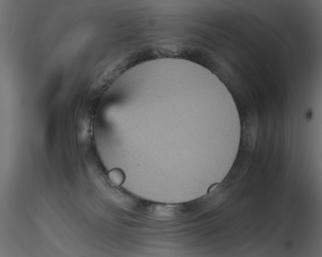 X0000116560134200912311940