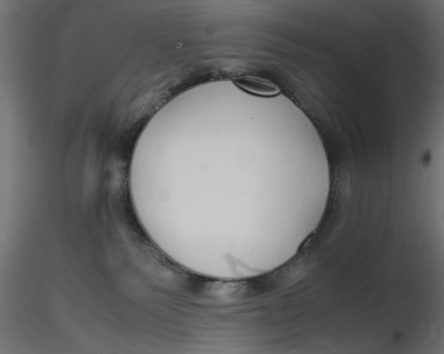 X0000116560135200912311940