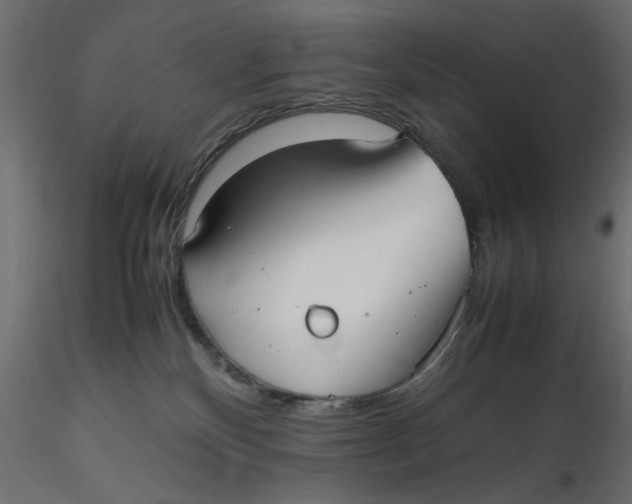 X0000116560136200912311940